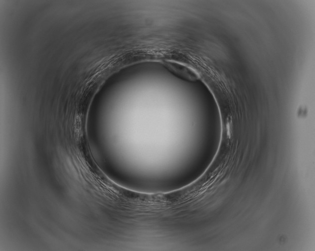 X0000096151347200801181153