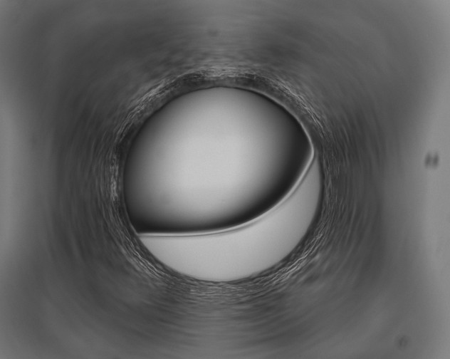 X0000096151348200801181153
