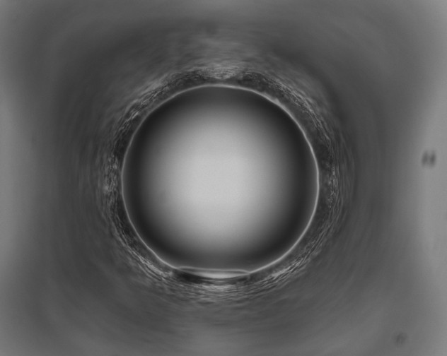 X0000096151349200801181153