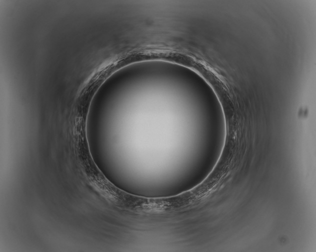 X0000096151351200801181153