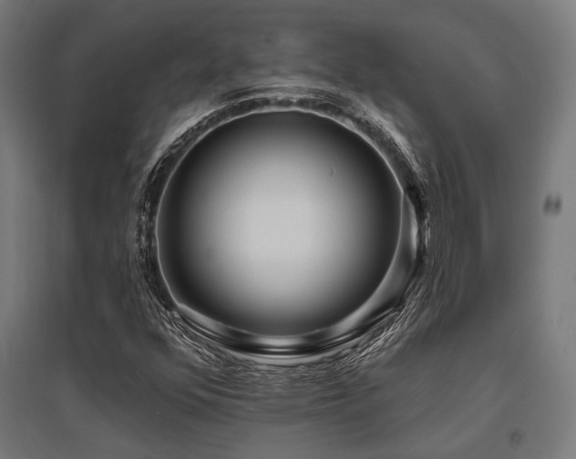 X0000096151352200801181153