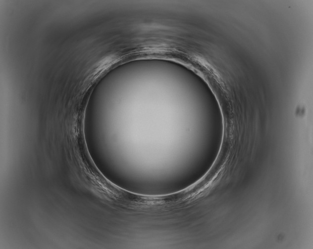 X0000096151353200801181153