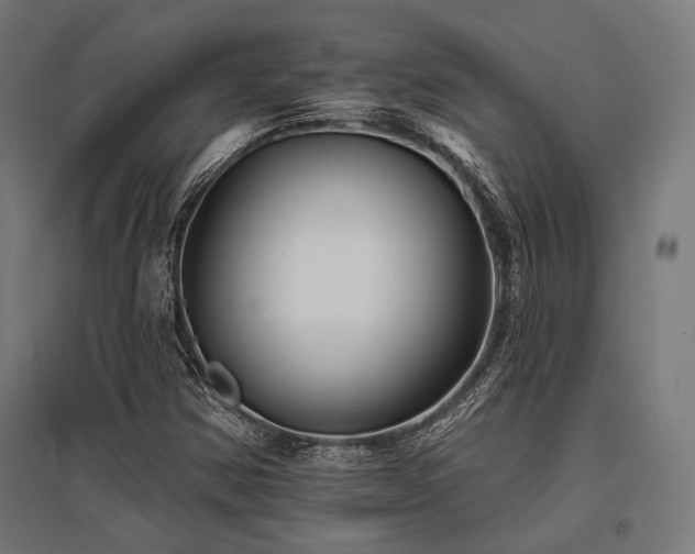 X0000096151354200801181153