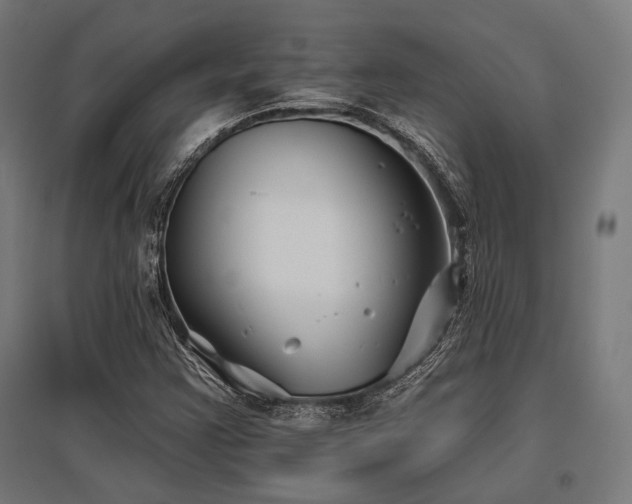 X0000096151355200801181153