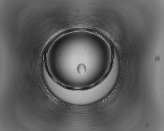X0000096151356200801181153