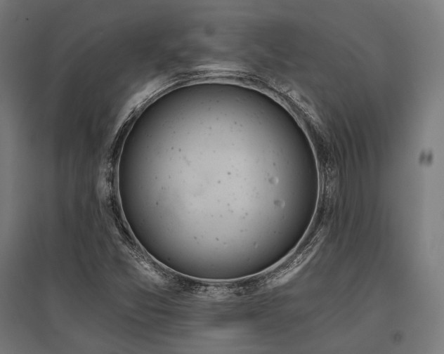X0000096151357200801181153