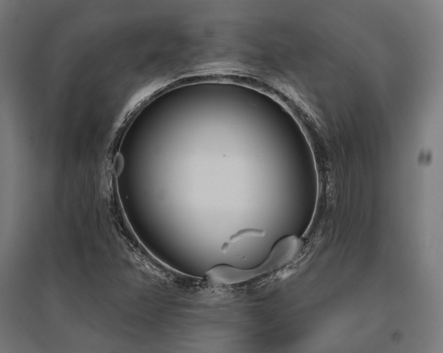X0000096151358200801181153