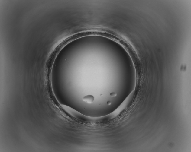 X0000096151360200801181153
