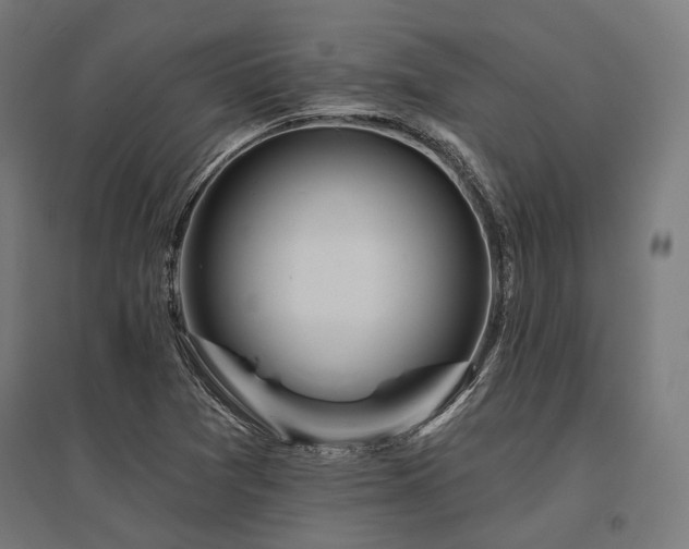 X0000096151361200801181153