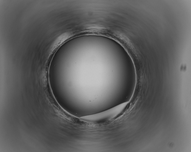 X0000096151362200801181153