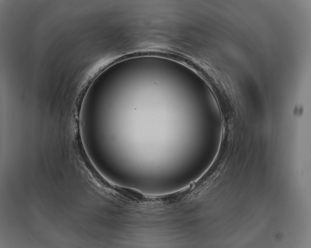 X0000096151363200801181153