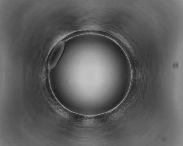 X0000096151364200801181153