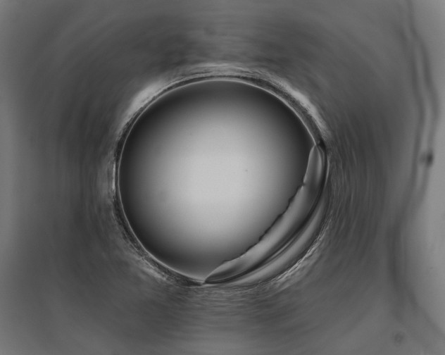 X0000096151365200801181153