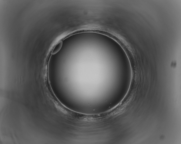 X0000096151366200801181153