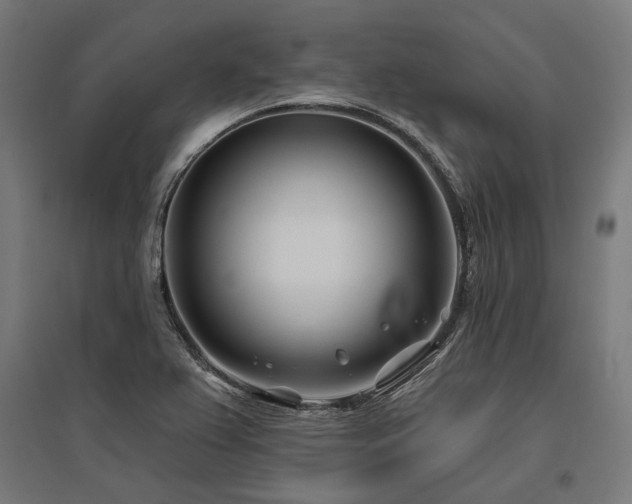 X0000096151367200801181153