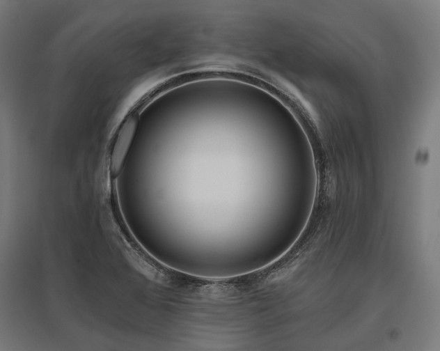 X0000096151368200801181152