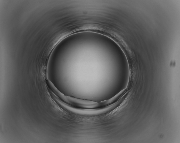 X0000096151369200801181152