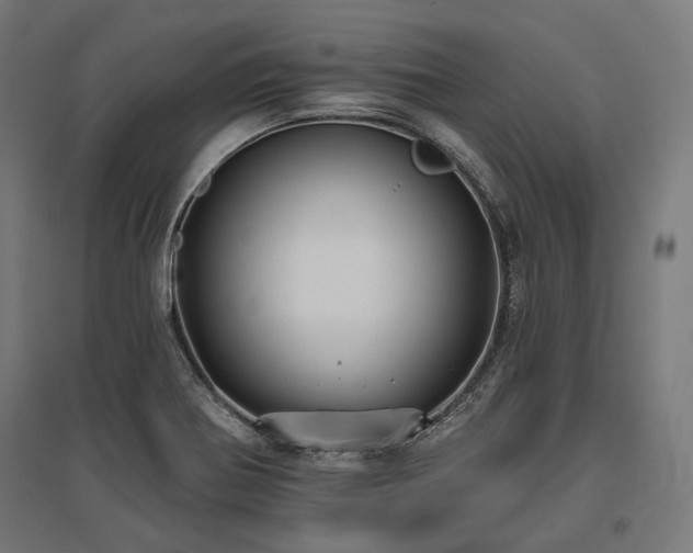 X0000096151370200801181152