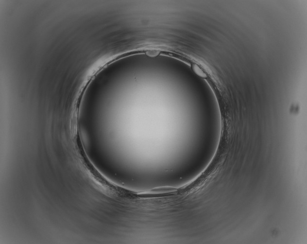 X0000096151371200801181152