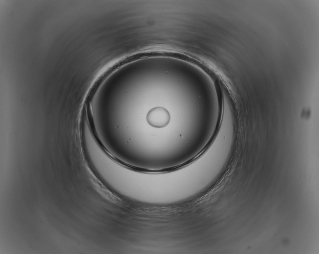 X0000096151372200801181152