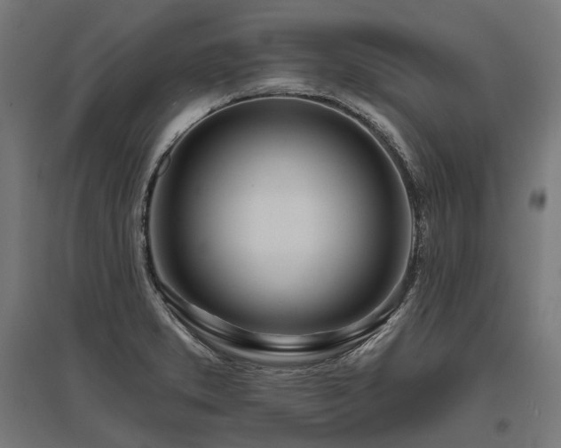 X0000096151373200801181152