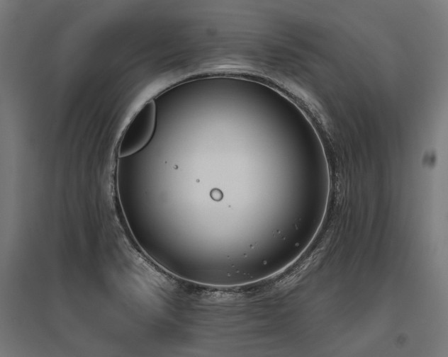 X0000096151374200801181152