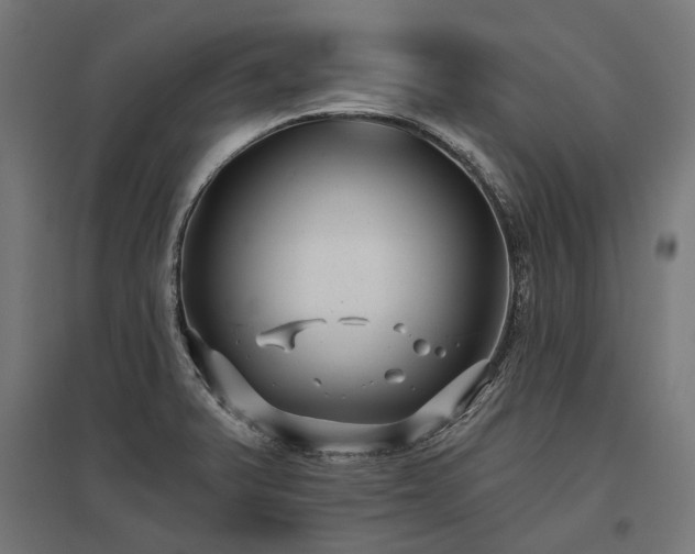 X0000096151375200801181152