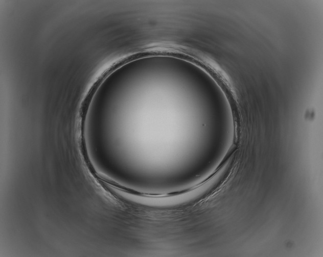 X0000096151376200801181152