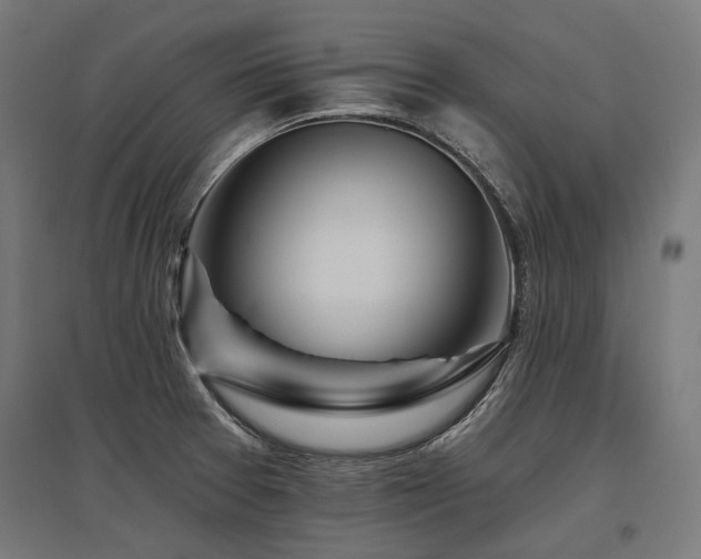 X0000096151377200801181152