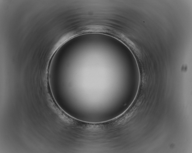 X0000096151378200801181152