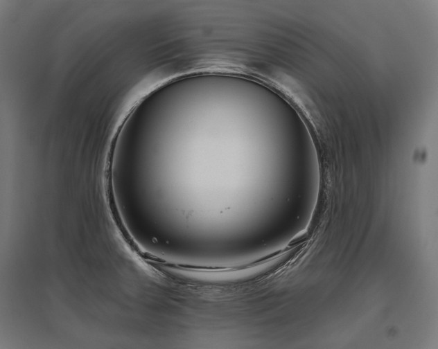 X0000096151379200801181152