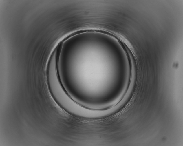 X0000096151380200801181152