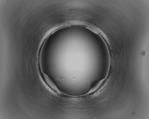X0000096151381200801181152
