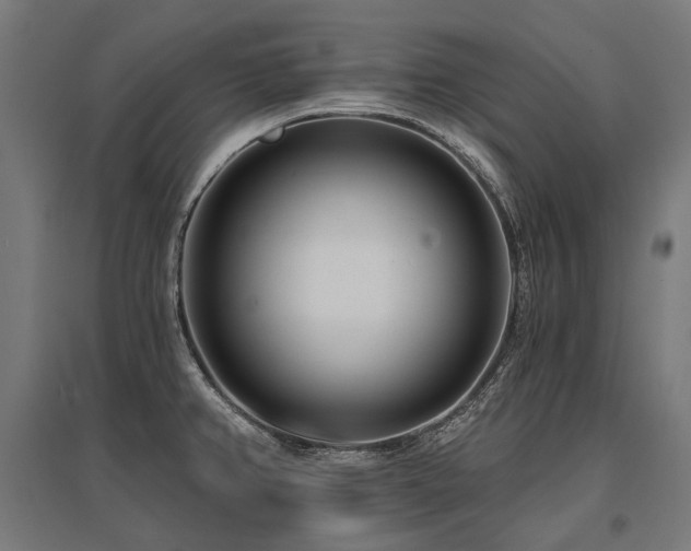 X0000096151382200801181152