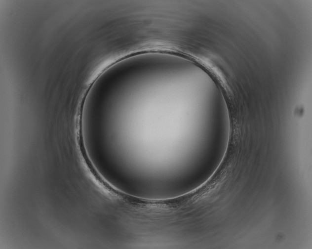 X0000096151383200801181152