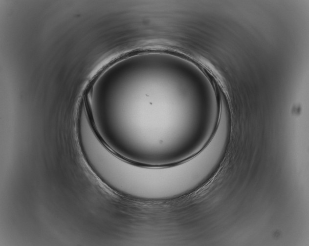 X0000096151384200801181152