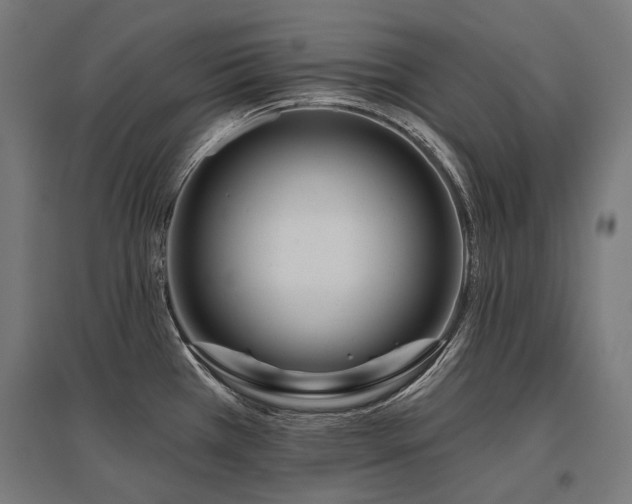 X0000096151385200801181152