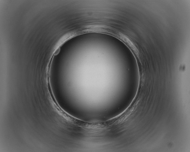 X0000096151386200801181152