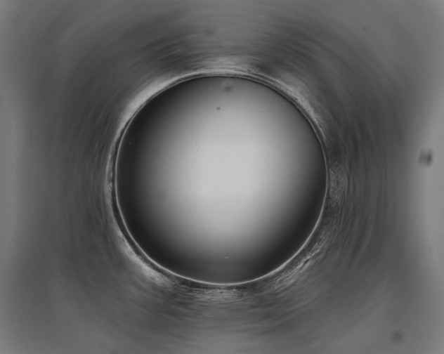 X0000096151387200801181152