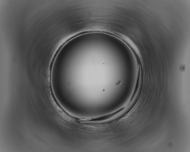 X0000096151388200801181152