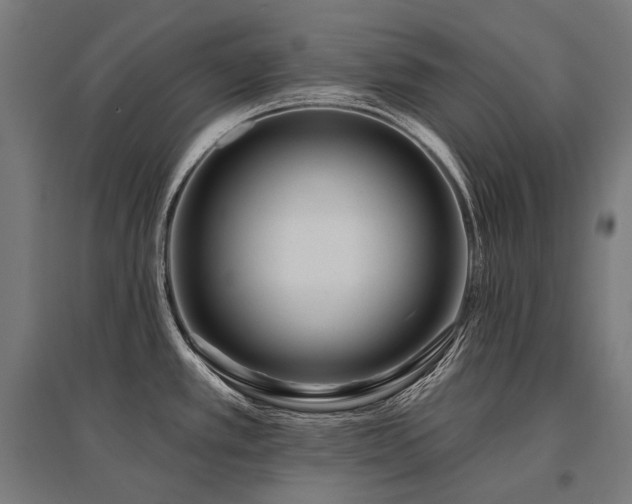 X0000096151389200801181152