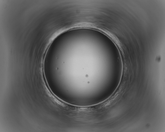 X0000096151390200801181152