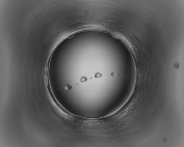 X0000096151391200801181152