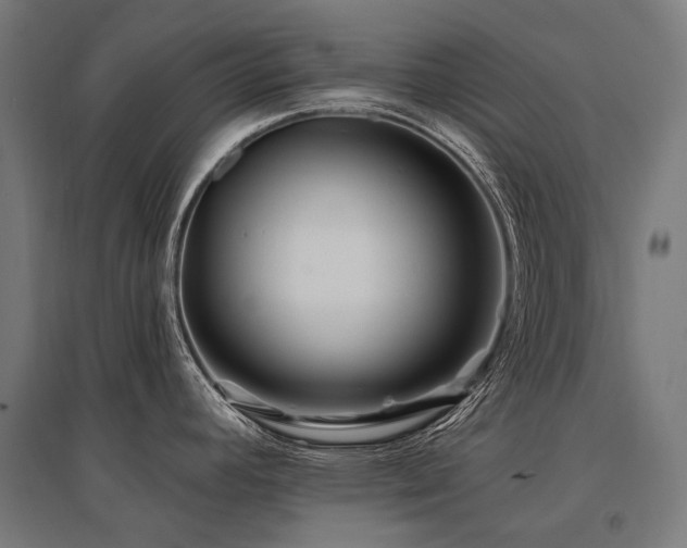 X0000096151392200801181152