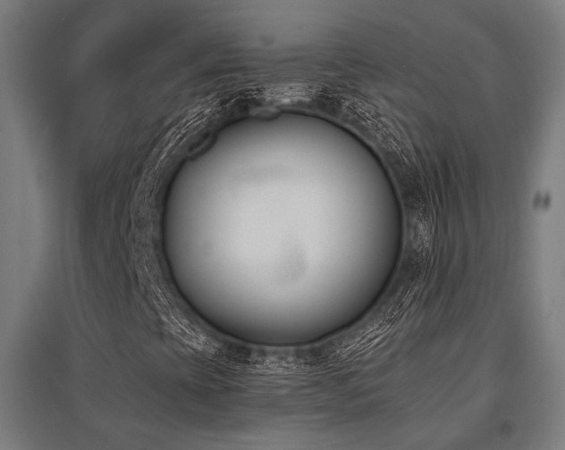 X0000096151393200801181152