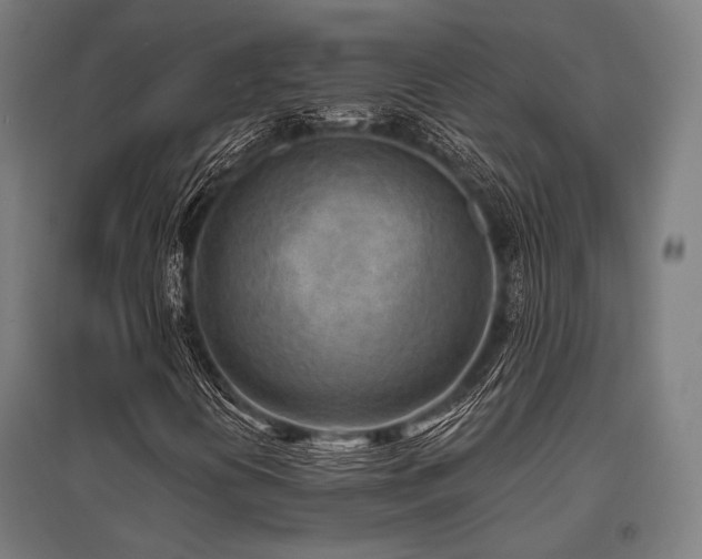 X0000096151394200801181152
