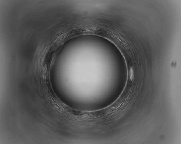 X0000096151395200801181152