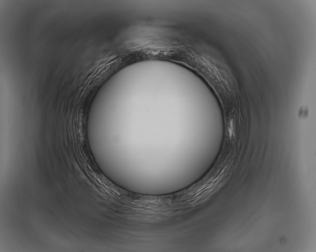 X0000096151396200801181152