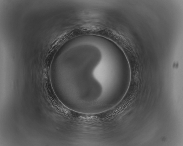 X0000096151397200801181152