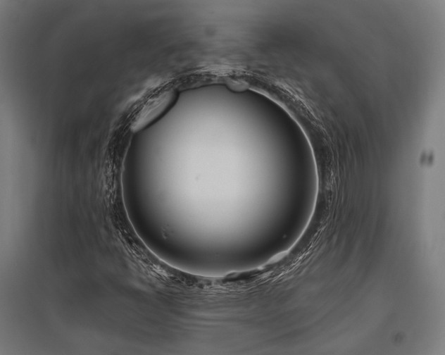 X0000096151398200801181152